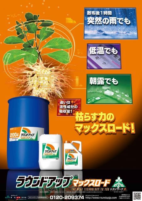 北海道 沖縄