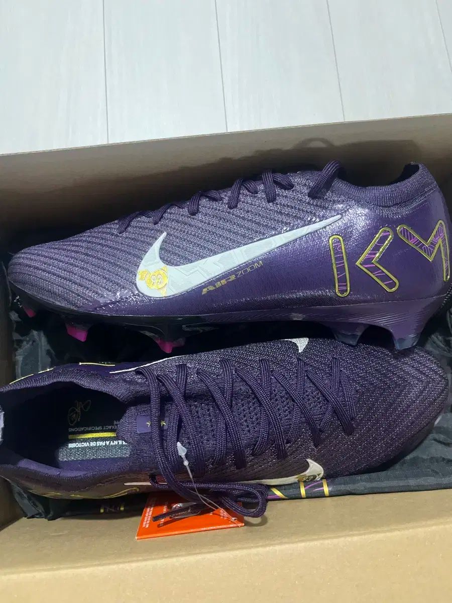 LABUBU BYRON ラブブ Mt.Fuji 富士山 HOW2WORK 正規 POP MART Official