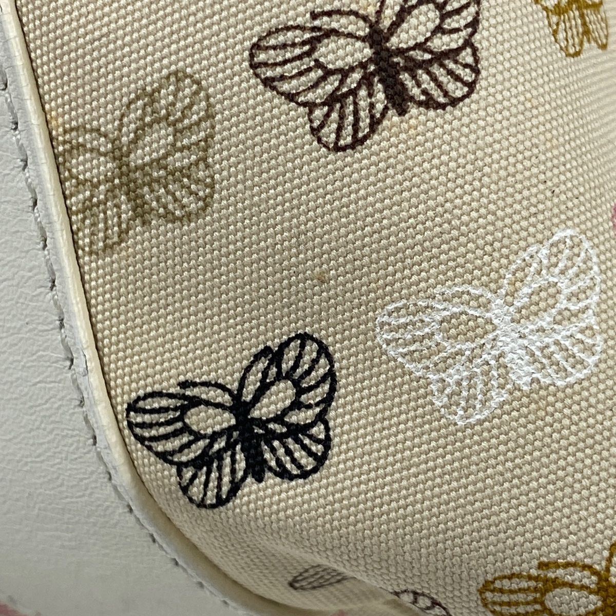 ボッテガヴェネタ　バニティバッグ バタフライ柄 ボッテガヴェネタ バニティバッグ バタフライ柄