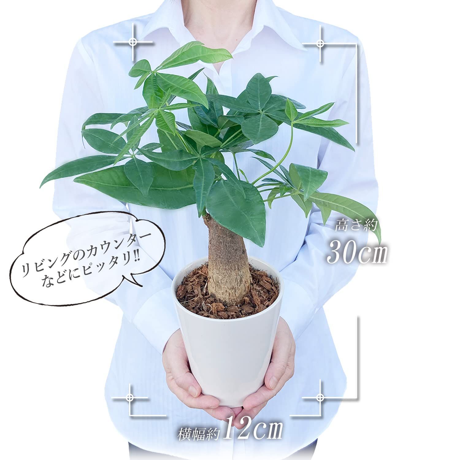 花のギフト社