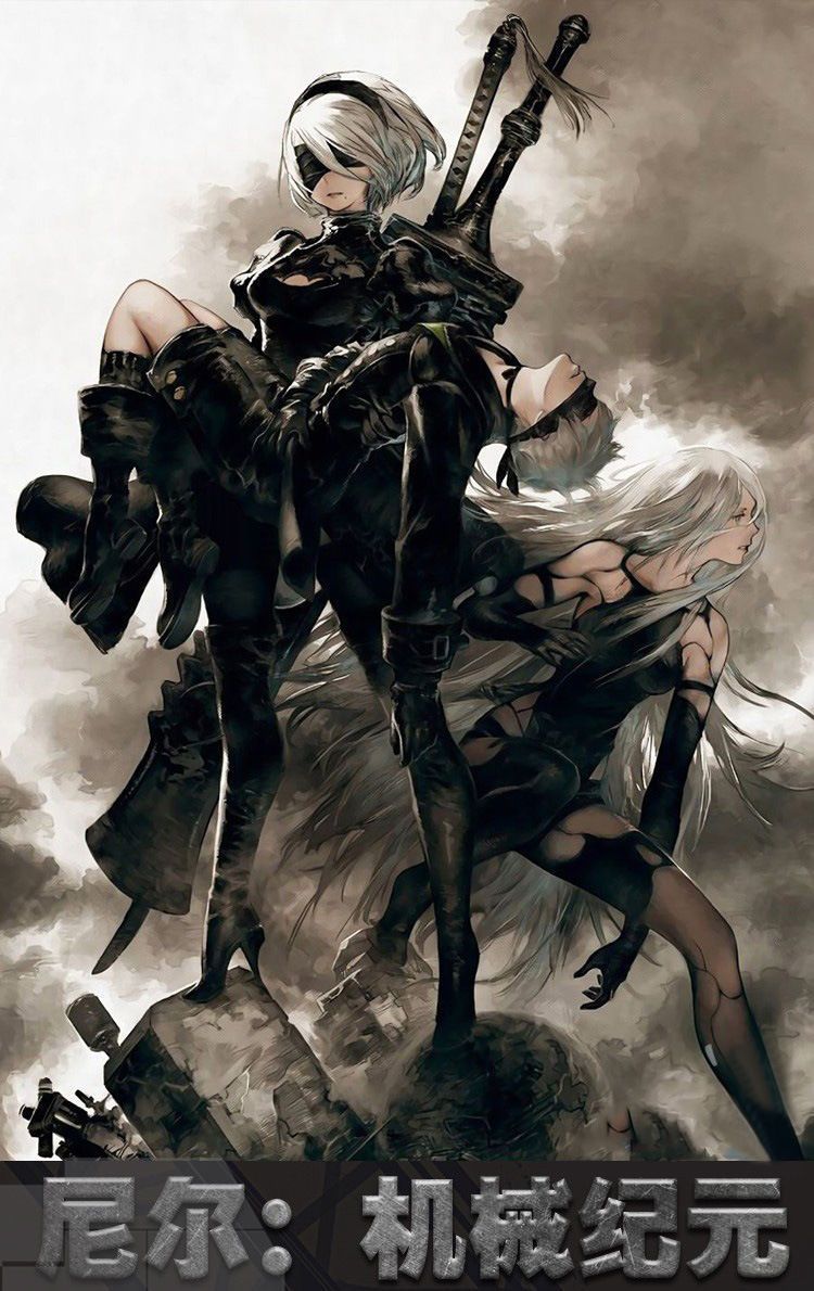 NieR