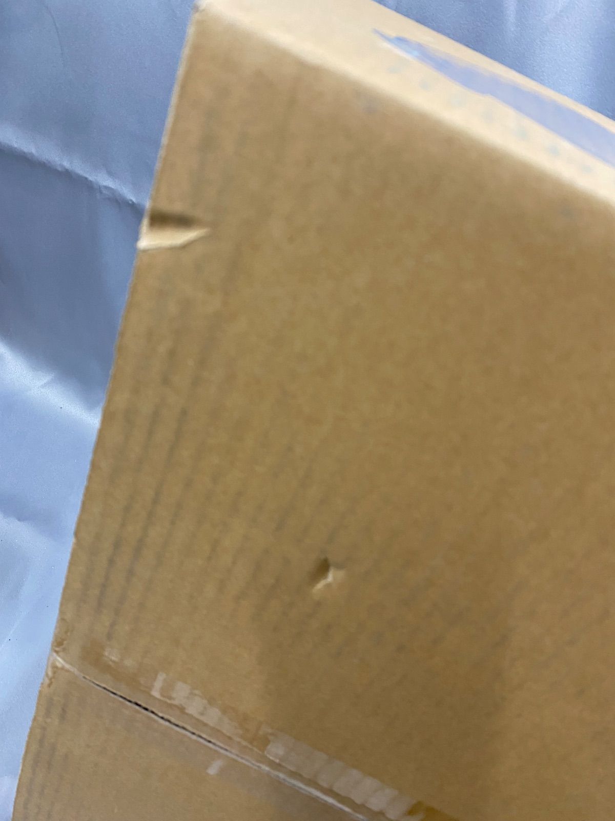 ビューティ
