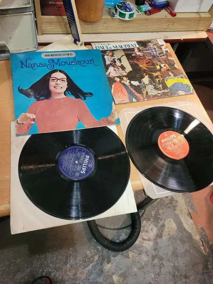 ミントグレード LP ー なな ムスクリと ポール モリア 2 腸
