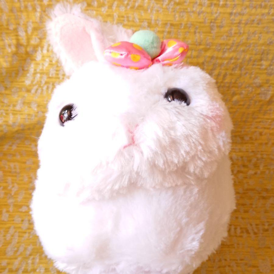 うさだまちゃん ぬいぐるみ - メルカリ