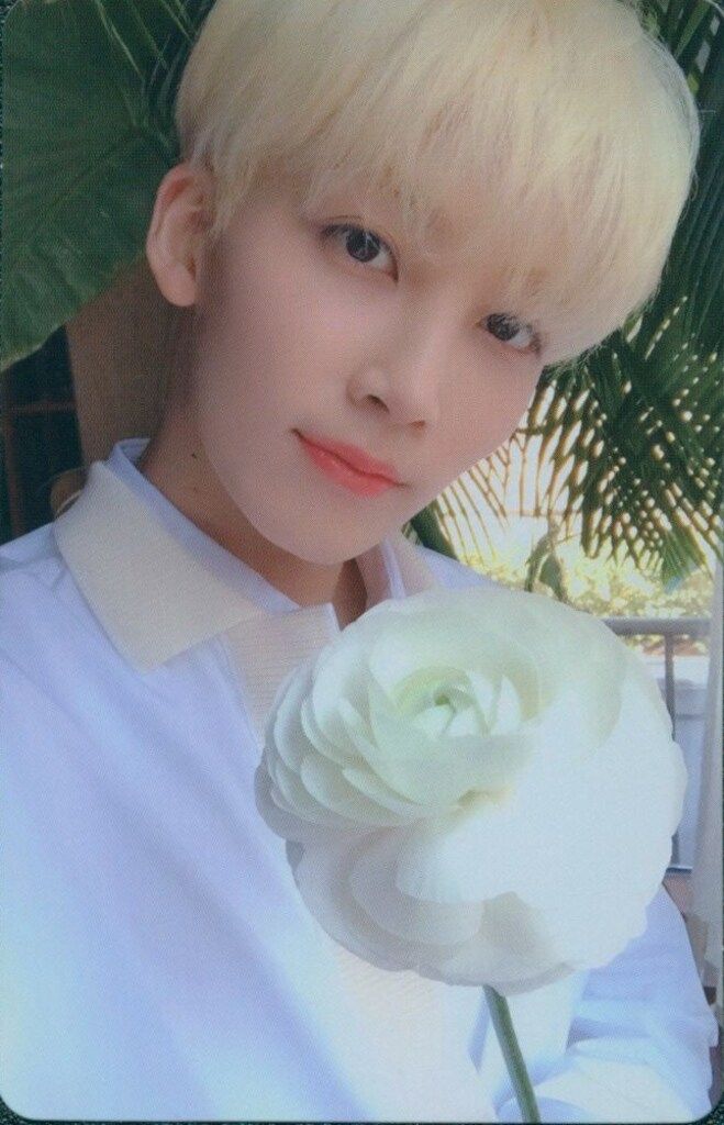 SEVENTEEN CARAT盤 JEONGHAN Happy Ending 白