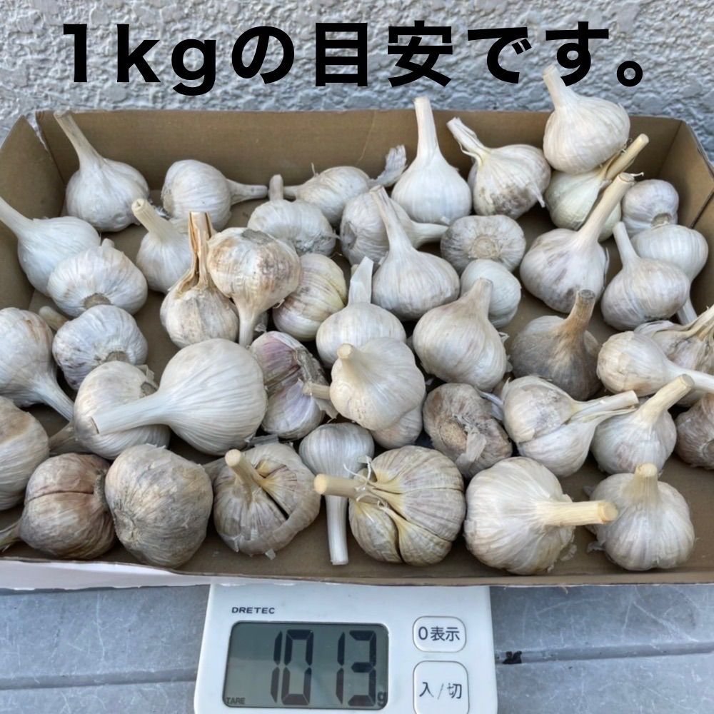 5キロ】平戸ニンニク 【公式通販】