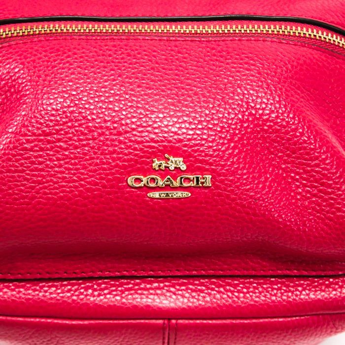 コーチ COACH ミニチャーリー バックパック レザー F38263 ミニ