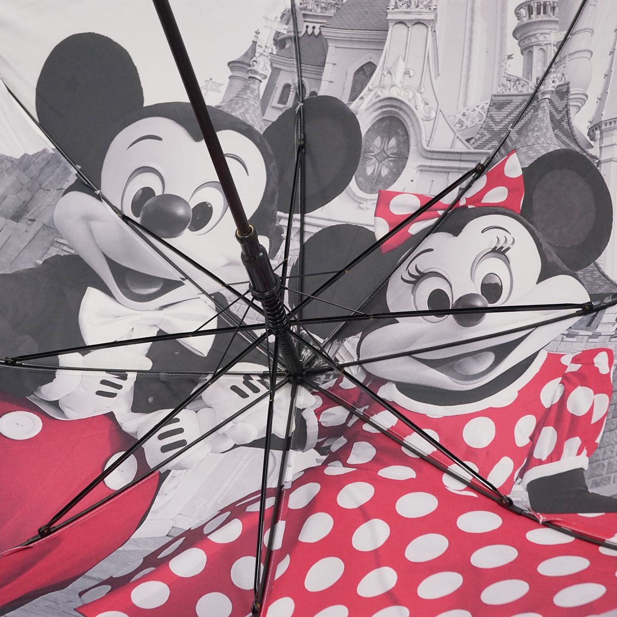 Disney - 新品！ディズニーパリ　傘② 傘 ディズニーランドパリ 25周年限定デザイン USED美品 DISNEY