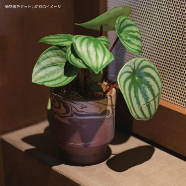 代引き不可