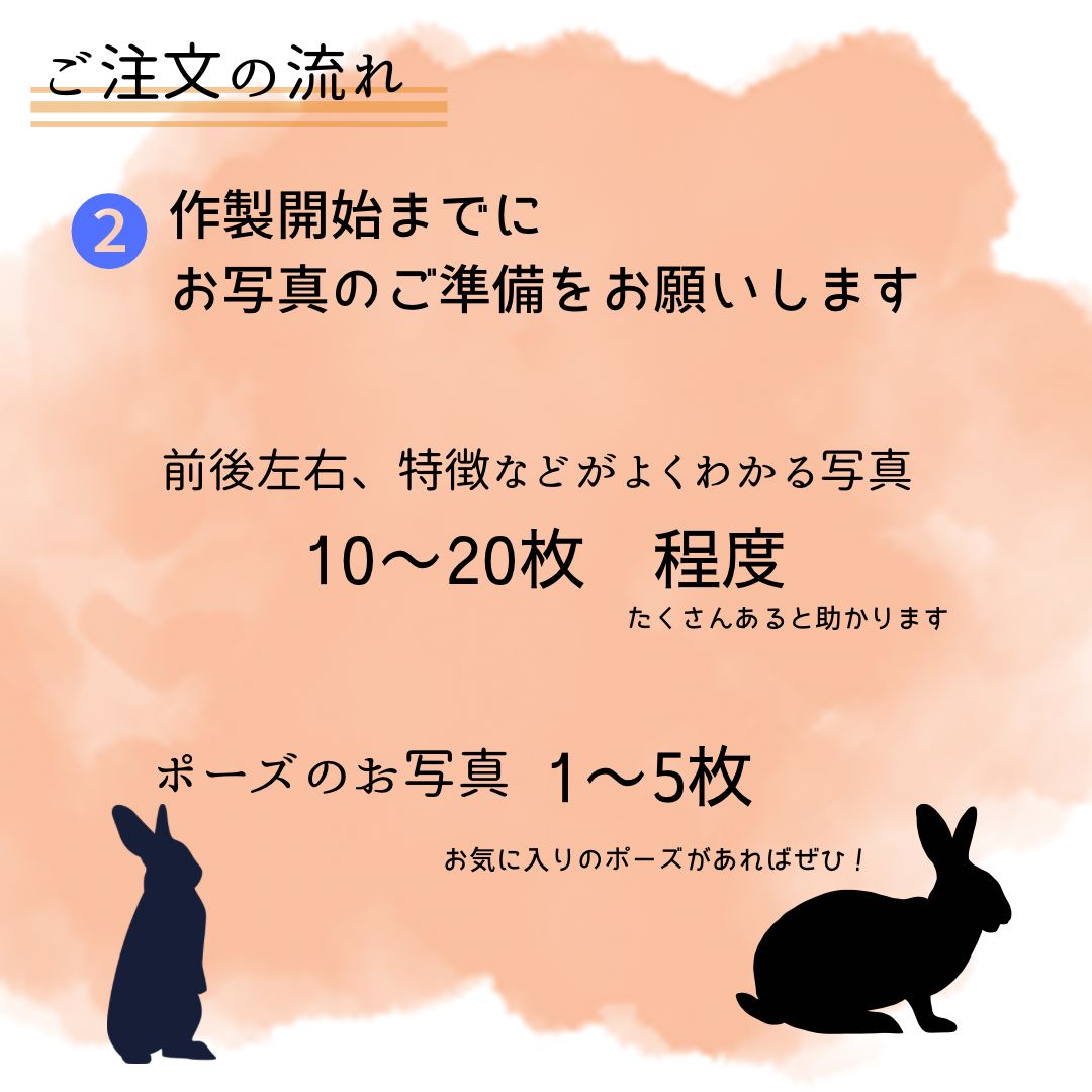 うちのこオーダー うさぎ