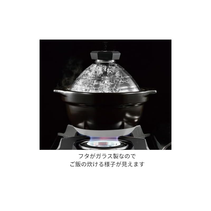 HARIO(ハリオ) フタがガラスのご飯釜2~3合 中が見える 耐熱ガラス 陶器