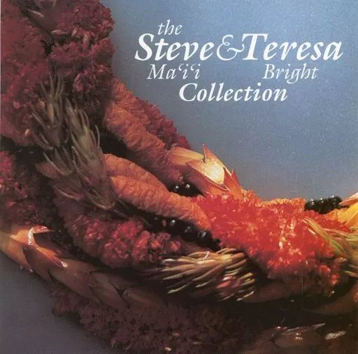 STEVE & TERESA,新品未開封,国内盤仕様,テレサ・ブライト,AOR 中古】輸入その他CD Steve Ma'I'I ＆ Teresa Bright / the Steve