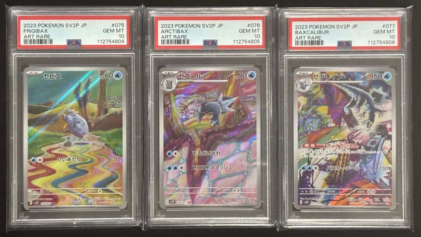 セビエ セゴール セグレイブ AR PSA10