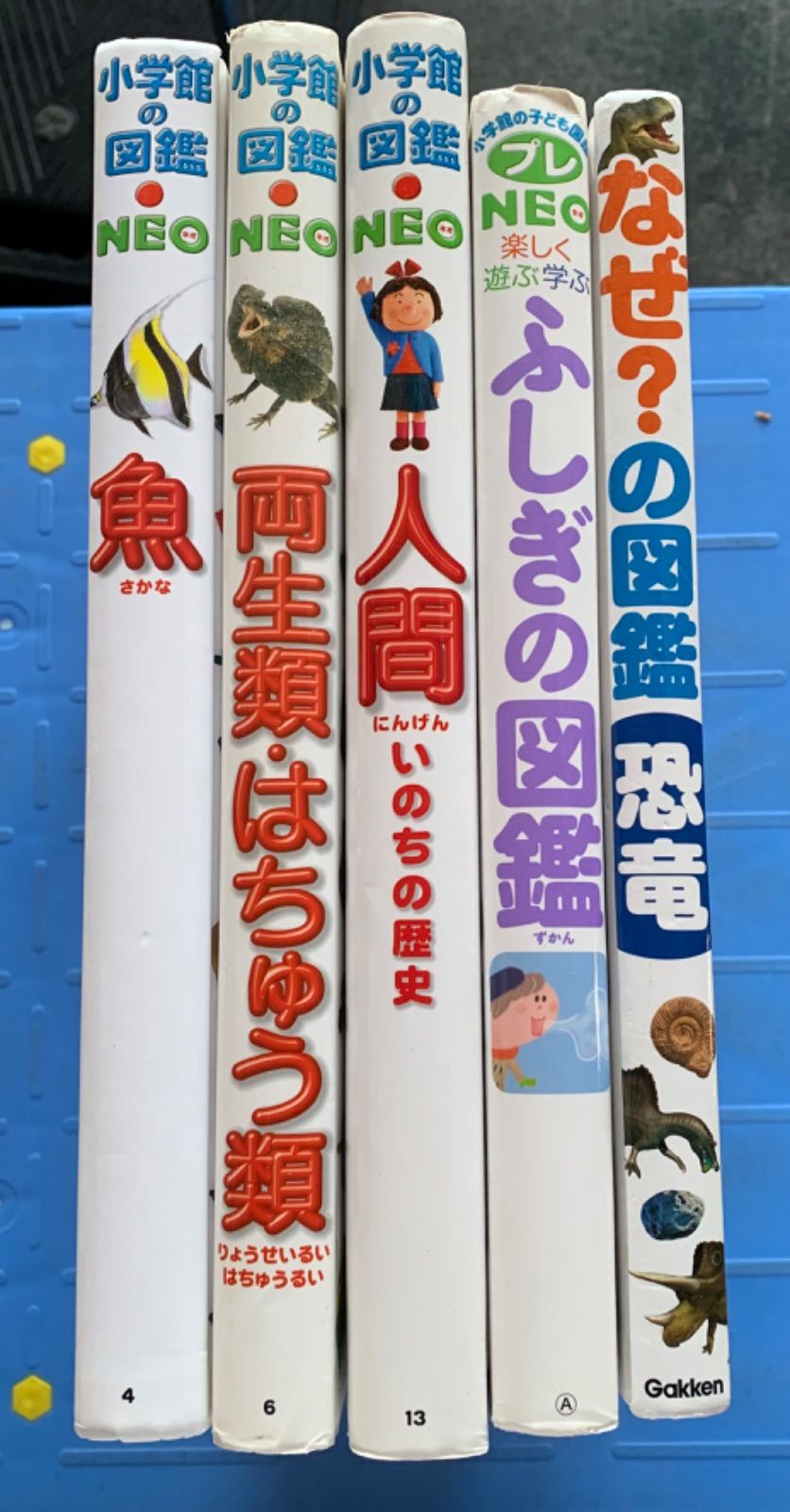 小学館の図鑑NEO プレNEO なぜ？の図鑑 恐竜 5冊セット - メルカリ