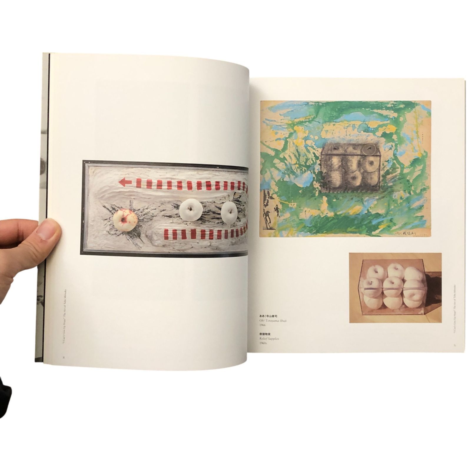  田部光子展 希望を捨てるわけにはいかない 田部光子 福岡市美術館 5日 展覧会図録 作品集 画集 現代美術 女性作家 Calamari Inc 希望 芸術と社会 aa 14はynm 1 アート デザイン 音楽 本