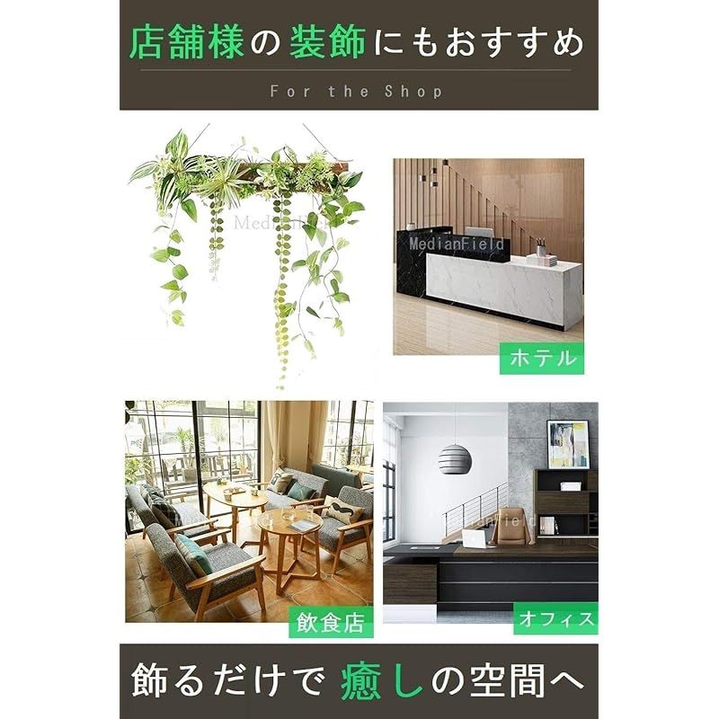 MedianField 【 観葉植物 光触媒 消臭 ＆ 抗菌 ウォールグリーン 】 フェイクグリーン 壁掛け 50cm×40cm フック付き 造花 フェイク おしゃれ 人工観葉植物 エアープランツ 室内 大型 フレーム イン 光触媒 観葉植物 MedianField セ 抗菌消臭 横長