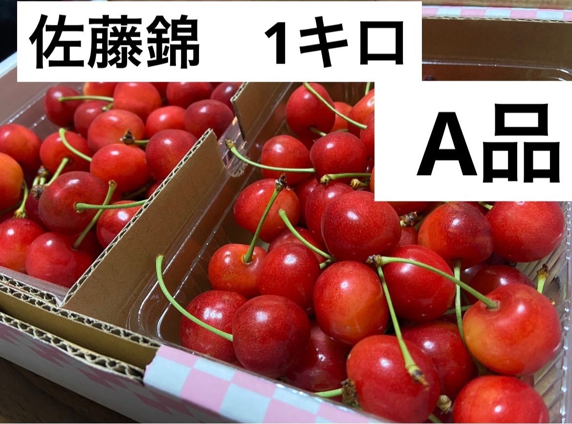 2025予約受付開始 山形県産さくらんぼ 佐藤錦 1キロ特秀品