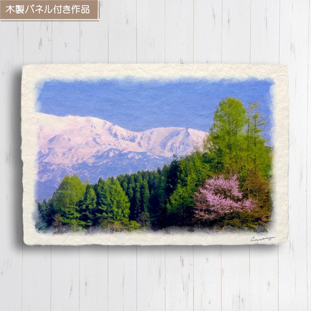 和紙の絵写真 ストア 「残雪の北アルプスと新緑のカラマツと山桜