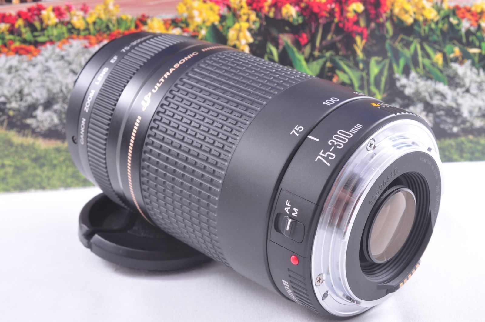 キヤノン EF 75-300mm USM 軽量望遠ズームレンズ 運動会 旅行 ポート