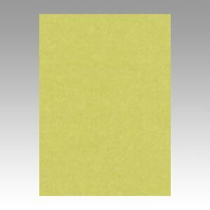 （まとめ） 色画用紙 文運堂 ニューカラーＲ やなぎ 4NCR-106 4954022641061 1冊【×5セット】