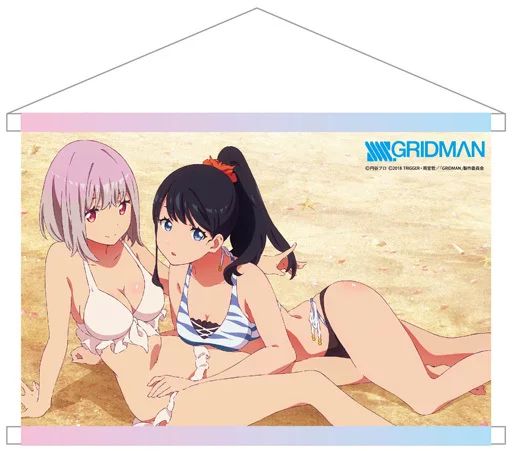 ⭐️ 希少 レア グリッドマン 水着 宝多六花 新条アカネ タペストリー 中古】タペストリー(大型) 宝多六花＆新条アカネ(水着) B2タペストリー