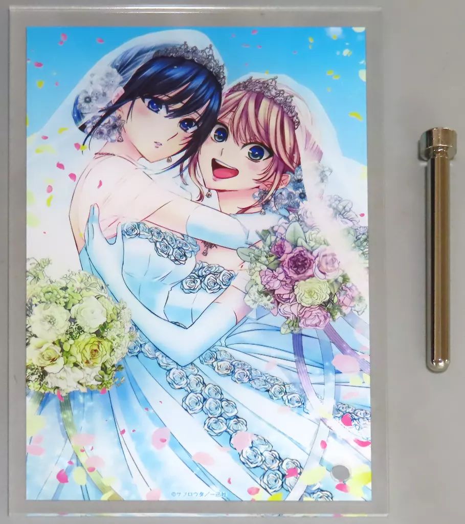 citrus B5 アクリルボード サブロウタ 受注 限定 citrus B5 アクリルボード サブロウタ 受注 citrus B5 アクリルボード