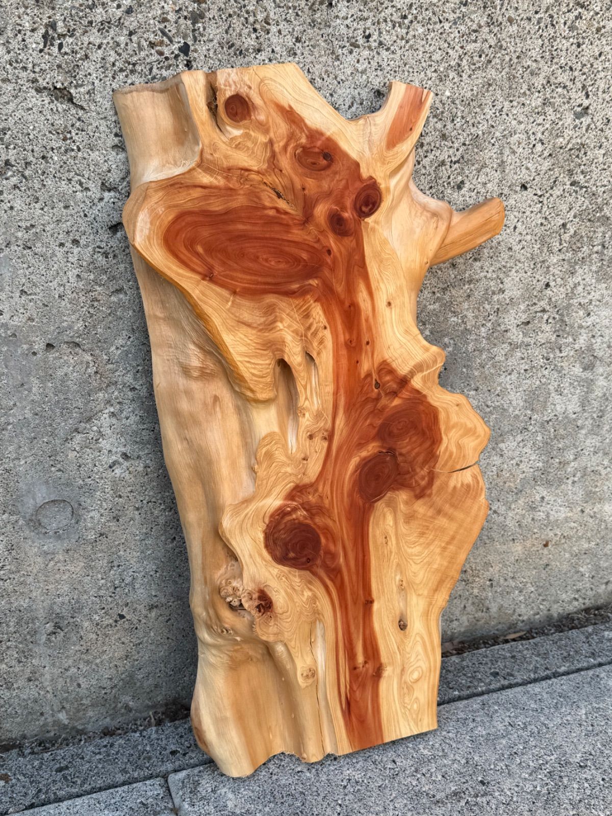 ローテーブルサイズ 】カイヅカイブキ 貝塚伊吹 板 一枚板 無垢材