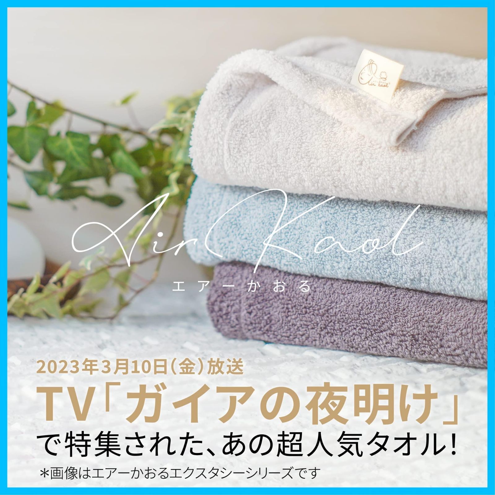 浅野撚糸 フェイスタオル