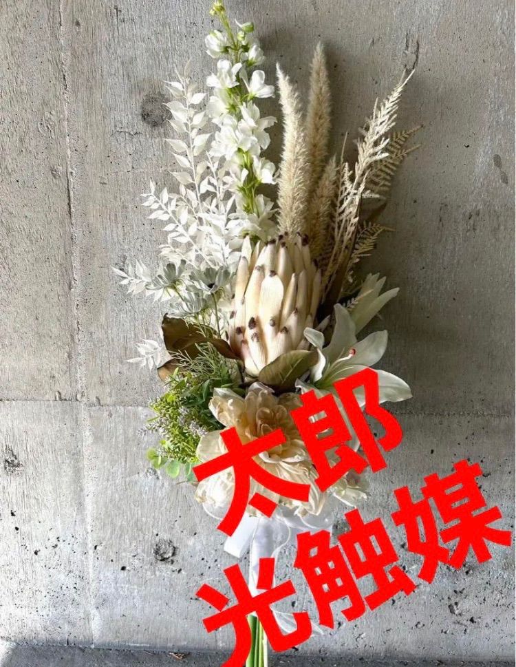 12#植物アエオニウム❤️サラダボール中斑錦❤️18頭35cm 钵つきゆうパック発送 12#植物アエオニウム❤️サラダボール中斑錦❤️18頭35cm 钵つきゆう
