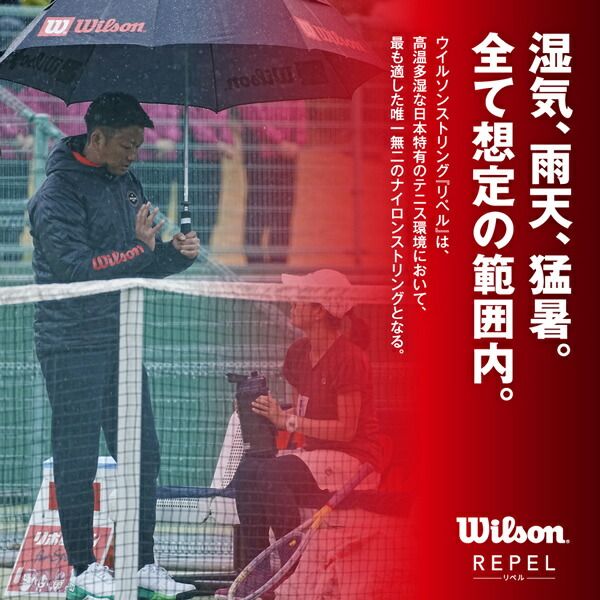 ウイルソン Wilson テニスガット ストリング REPEL 16 REEL Natural 16G リペル ナチュラル 200m WR831250116