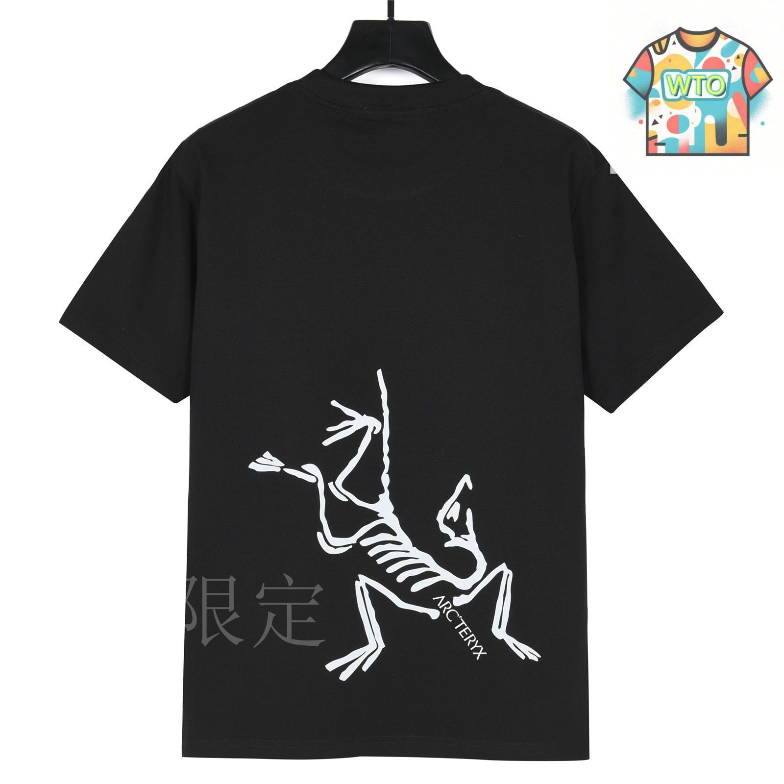 今日WTO】ARCTERYX 2025SS バックバードプリント T シャツ-TR40