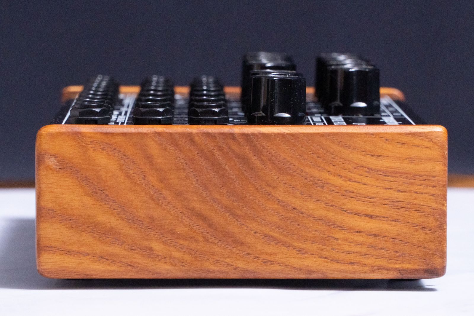 used】Moog / CP-251 MOOGERFOOGER CONTROL PROCESSOR【GIB横浜 