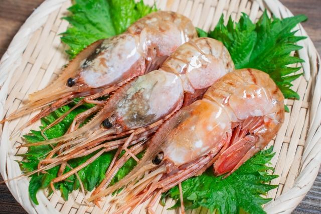 究 の贅沢 カナダ産 ボタン海老 XJサイズ登場