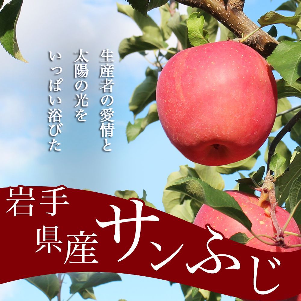 岩手県産 産地直送 サンふじ りんご 約9kg 送料無料 りんご 果物-1
