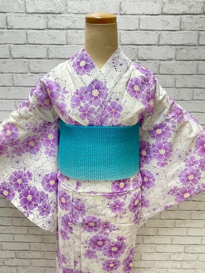 平和屋着物∴夏物 綿紅梅 浴衣 藍 型染め 蜻蛉 草木文 綿 逸品