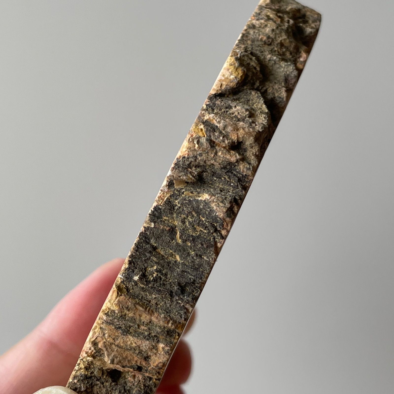 ペトリファイド ウッド スラブ プレート 珪化木 マダガスカル産