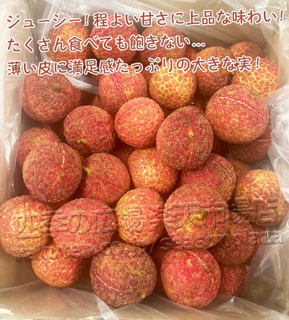 種無し生ライチ 約4kg 箱 80玉前後 超希少品種 中国産 種なし