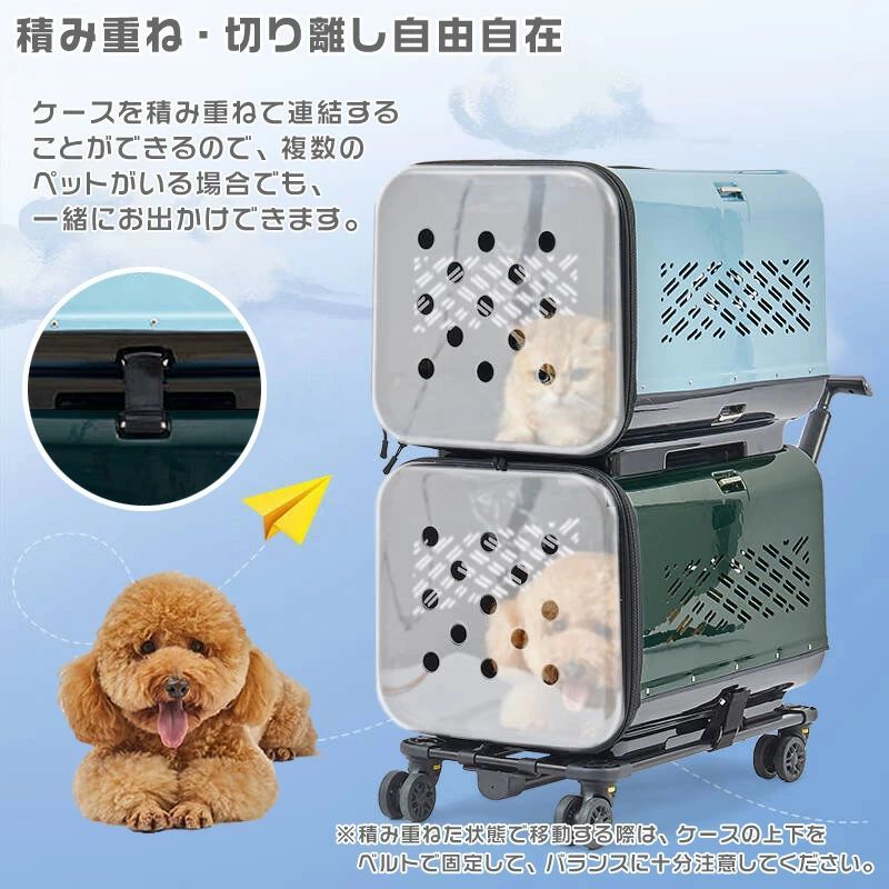 お出かけ 通院