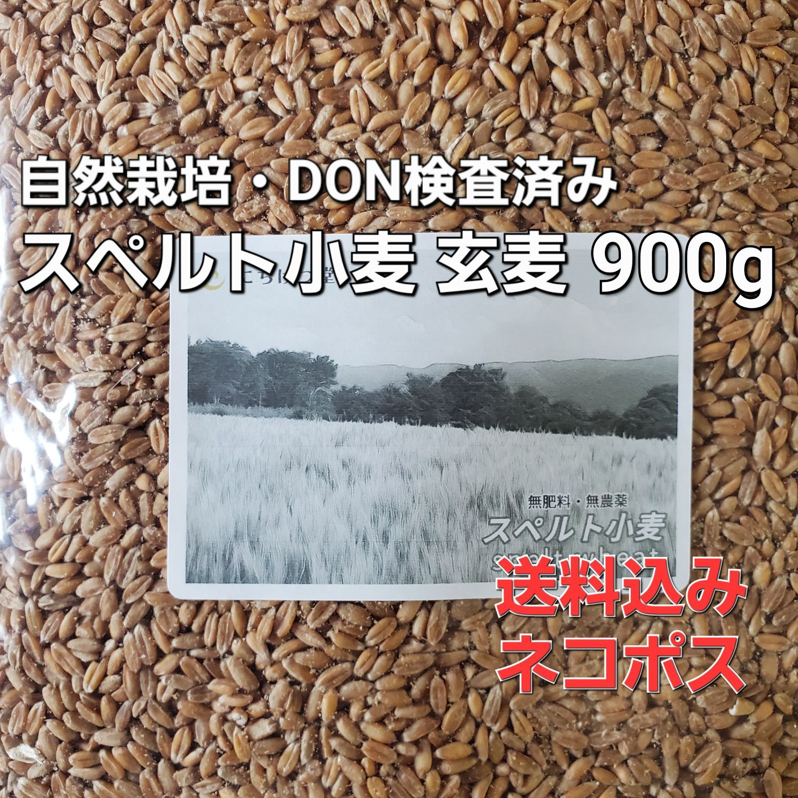 自然栽培スペルト小麦 玄麦900g 栄養満点モチモチ食感 - メルカリ