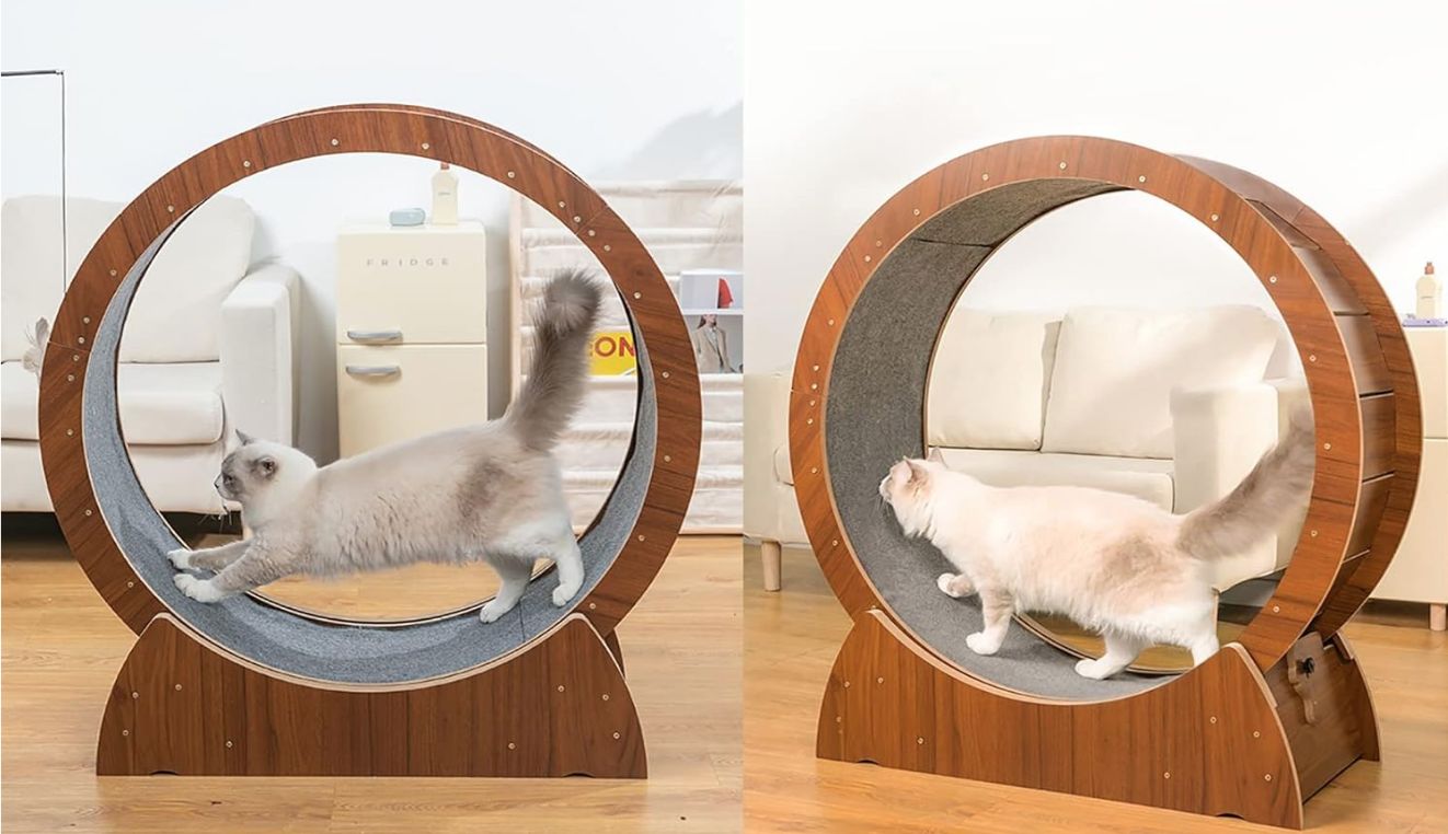 猫遊具