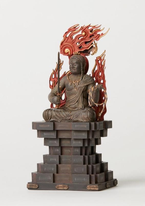 TanaCOCORO 掌