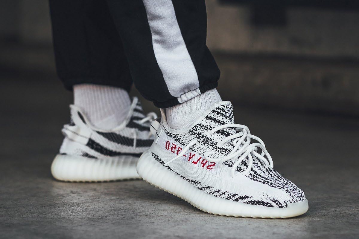 V2 ZEBRA