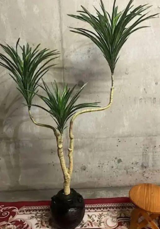 光触媒 人工観葉植物 ウォールグリーン フェイク フラワー コンシンネ