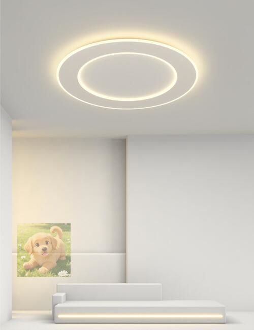 シーリングライト おしゃれ LED 北欧照明リモコン 調光調色 リモコン付き 天井照明 工事不要 明るい 6畳 8畳 10畳 居間 食卓 寝室 60cm