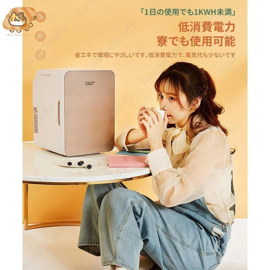 ミニ冷蔵庫 小型冷蔵庫 12L ポータブル冷蔵庫 車載 冷蔵庫 温