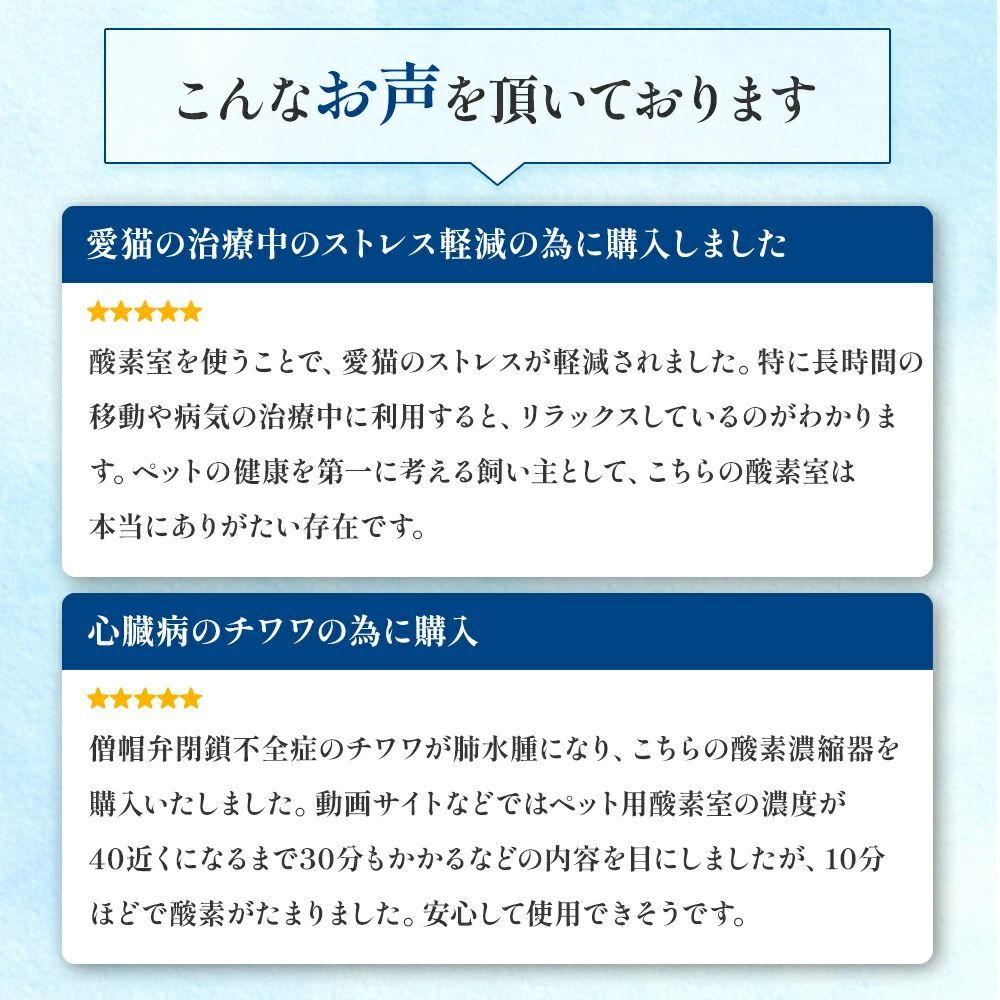 猫 うさぎ