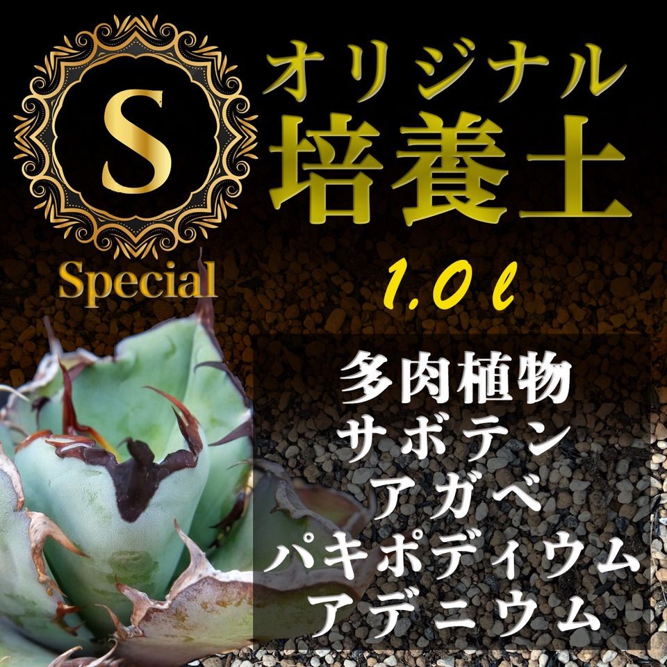 培養土Special 1㍑（アガベ・パキポディウム・各種サボテン多肉植物の 