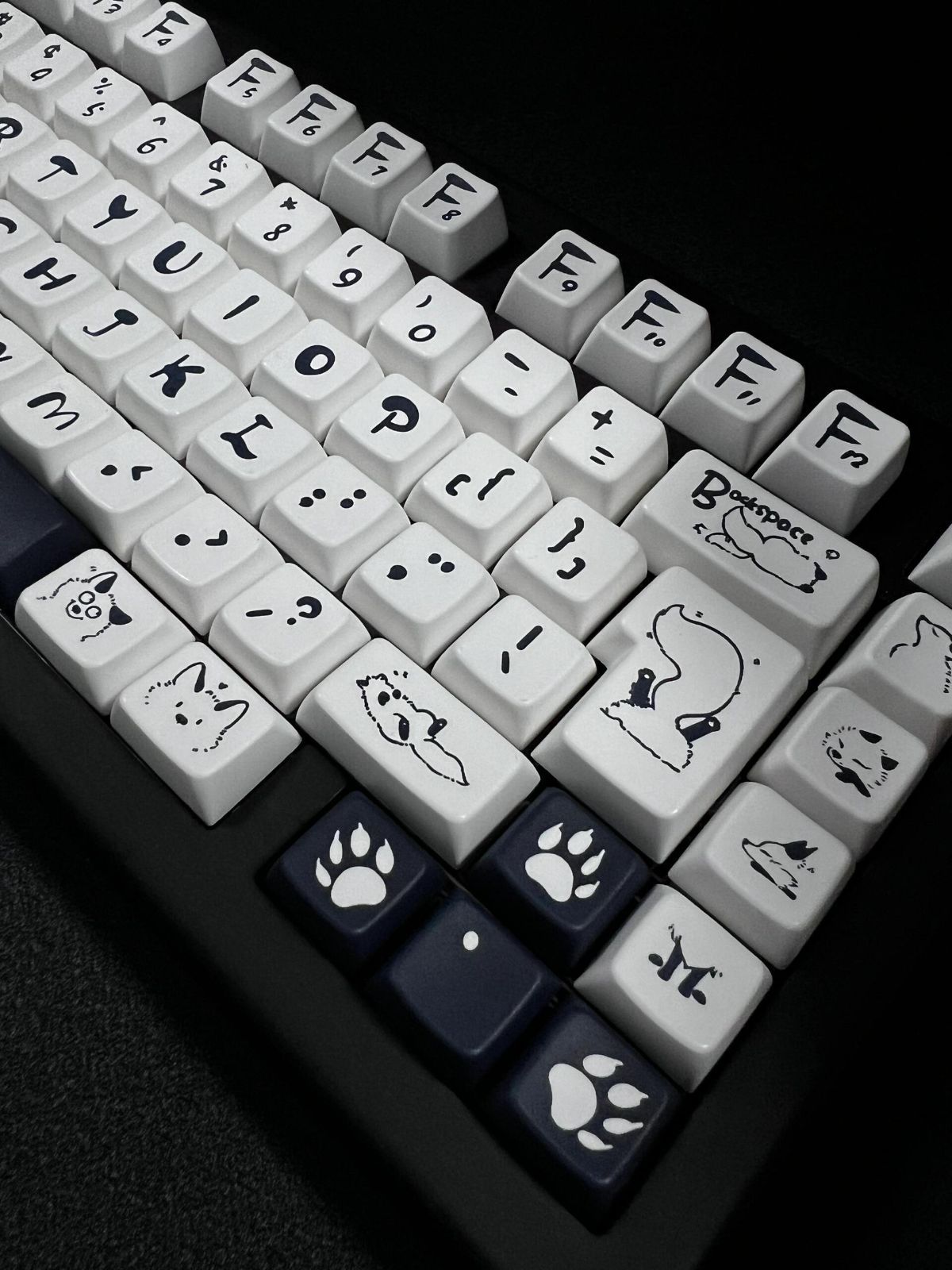 PBT 狐