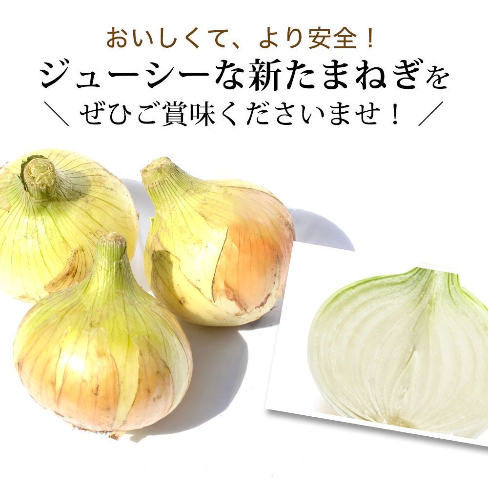 ひょうご安心ブランド 淡路島新たまねぎ