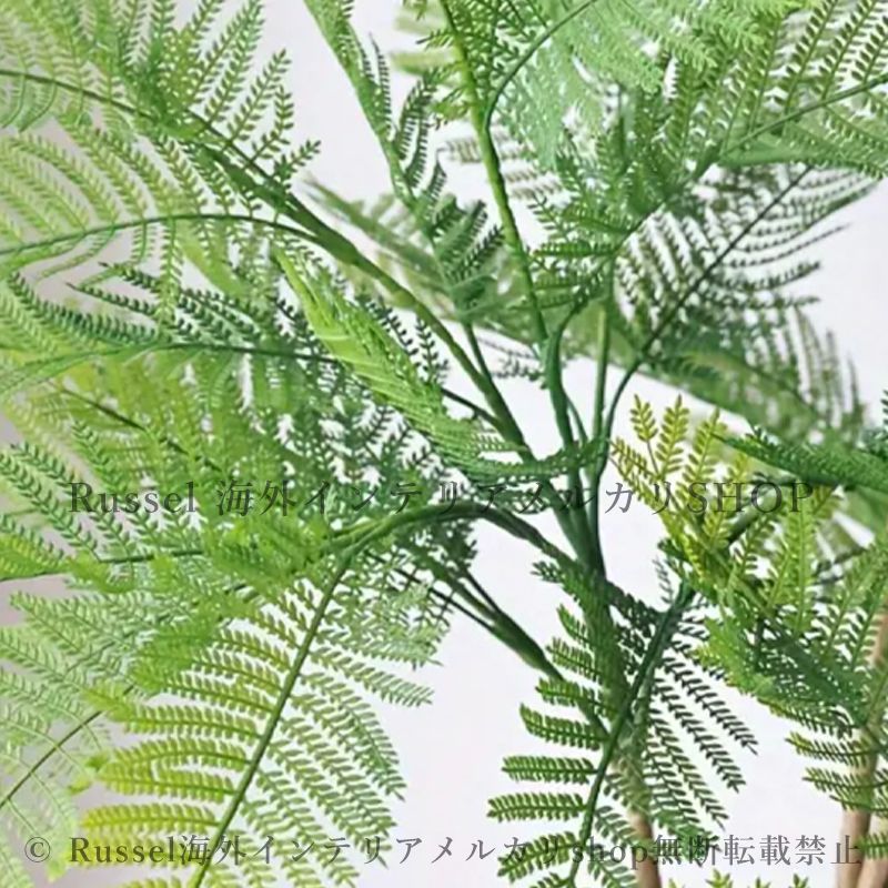 エバーフレッシュ 人工観葉植物 室内 ジャカランダ 木 店舗